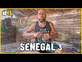 Download Lagu SENEGAL: 🤯 WALKA O PRZETRWANIE! Zepsute auto, Brak jedzenia, Nocleg pod namiotem w buszu. PRZEŻYJĘ?