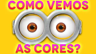 Como os nossos olhos enxergam as cores?