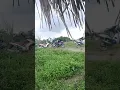 Lãng quên chiều thu