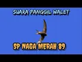 Download Lagu suara panggil walet ⭐ SP NAGA MERAH || mantap guysss wkwkw