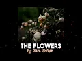 Plot summary The Flowers by Alice Walker in 5 Minutes - Book Review