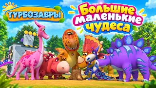 Турбозавры 🦕 Большие маленькие чудеса | Сборник ✨ | Мультфильм для детей | Мультики