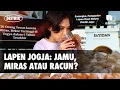 Download Lagu Distrik Sayidan: Lapen di Balik Tembok Tua dan Tikus Liar