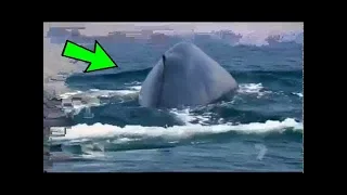 الحقيقة الكاملة   حقيقة صوت الحوت الأزرق الذي أفزع الناس    ظهور اكبر علامة من علامات الساعة الكبرى دندنها