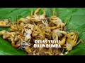 Download Lagu PELAS YUYU DAUN BUMBA | JEJAK SI GUNDUL (16/05/24)