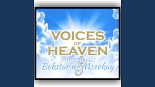 voices of heaven feat anonymous dj 