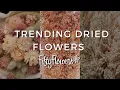 Download Lagu Top Trending Dried Flowers