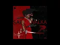Sauce Walka - Too Much Sauce (Sorry 4 The Sauce 3)