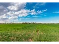 1201 S Ave K Hereford TX 79045