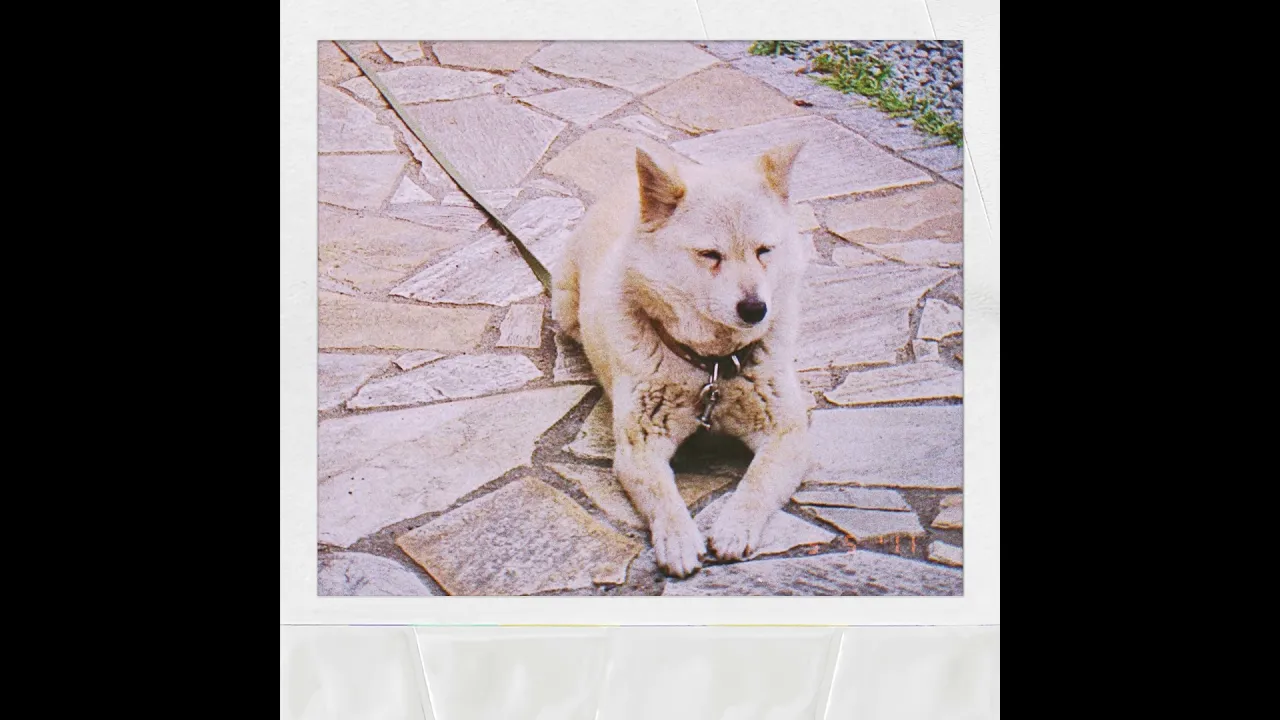 最新の邦楽ロックの人気曲・流行曲