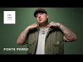 Download Lagu Ponte Perro - Mi santo | A COLORS SHOW