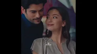 رامي جمال   تعيشي ليا    حالات واتساب دندنها