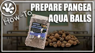 How to prepare Pangea Aqua Balls