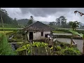 Lagu Hidup di Desa, Menginap Di Rumah Satu Satunya Tengah Sawah Jauh Dari Tetangga