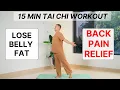 15 Min Gentle Tai Chi for Belly Fat Back Pain Relief - BEGINNER FRIENDLY No Jump Workout