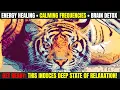 Download Lagu 🧠 Heal Your Brain \u0026 Emotions Fast | Theta Waves | Emotional Root Detox