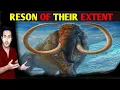 WHO KILLED THEM                                                      — woolly Mammoths!