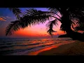 Aesthetic Vol 35 Sunset Palm Trees 3
