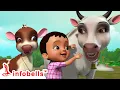 Download Lagu Meri Gaiya Aati Hai Mujhko Doodh Pilati Hai | Hindi Rhymes for Children | Infobells