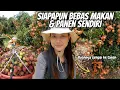 Download Lagu PANEN LECI DI KEBUN MILIK GUSTI ALLAH‼️SIAPAPUN BEBAS MAKAN \u0026 PANEN SENDIRI SEPUASNYA⁉️