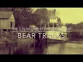 Bear tracks