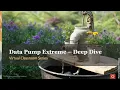 Virtual Classroom Data Pump Extreme - Deep Dive with Development