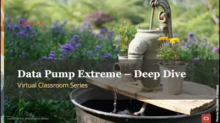 Virtual Classroom Data Pump Extreme - Deep Dive with Development