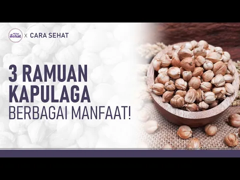 Ramuan Kapulaga untuk Mengatasi Asam Lambung, Radang Tenggorokan dan Bau Mulut