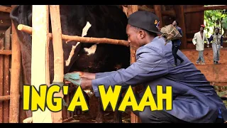 Mbosso Pawa Parody By Pyento Mkisinali Ft Nyakababa Comics  Mbosso Pawa Parody By Pyento Mkisinali Ft Nyakababa Comics