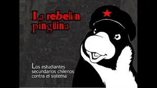 A REBELIÃO DOS PINGUINS l Documentário completo de Carlos Pronzato