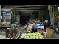 Download Lagu Het leven van een alleenstaande moeder: Wilde slakken vangen en guave oogsten om te verkopen