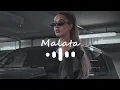KLIN - Пират (Bartiz Remix) | 2022