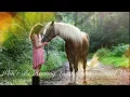 Roy Williams Best Hits | Best Of Roy Williams [ American Roots Rock, Modern Blue , Traditional Blue]