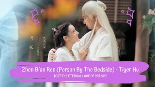 Download OST ETERNAL LOVE OF DREAM | TIGER HU 胡彦斌 - 枕边人Person By The Bedside [LYRICS HAN+PIN+ENG] MP3