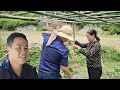 Download Lagu CEO SONG came down to visit SOM and happily helped her make a trellis for squash