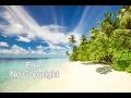Download Lagu Spring in my step - Silent Partner | Free No Copyright