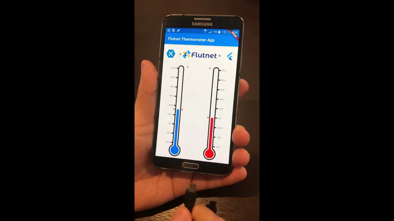 Hid Usb Thermometer with Flutter (Flutnet) and Device.Net (.NET)