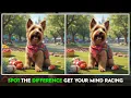 Boost Your Memory Spot The Hidden Differences In These Images