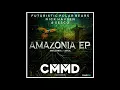Futuristic Polar Bears & Nick Havsen x Sesco - Apex (Extended Mix)