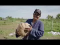 AgroPost Fiji