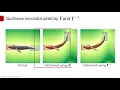 As-Rigid-As-Possible Regularization for Implicit Surfaces
