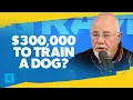 I m 300 000 In Debt From My Dog-Training Business