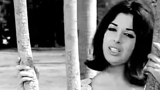 نجاة الصغيرة    حقك علية  وسامح دندنها