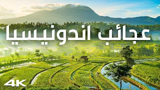 Planet Of Wonders Indonesia A Journey To The Heart Of Tropical Beauty Documentary 