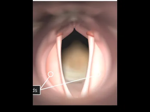 How Does Your Body Make Words?🥵