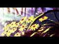 Victony - Everything🔊SLOWED & REVERB🔊
