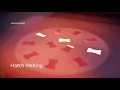 Transformative technology Electron Beam Melting EBM