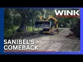 Sanibel s comeback Residents and tourists fuel economic growth
