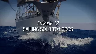 Winded Voyage 3 | Episode 12 | Sailing Solo To Lobos