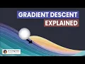 Gradient Descent Explained How Do ML and DL Models Learn Simple Explanation